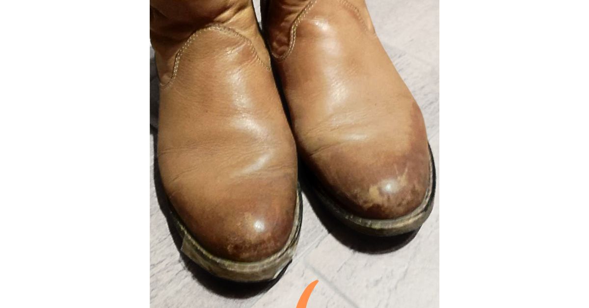 Krém Shoe Cream 109 gazelle 3